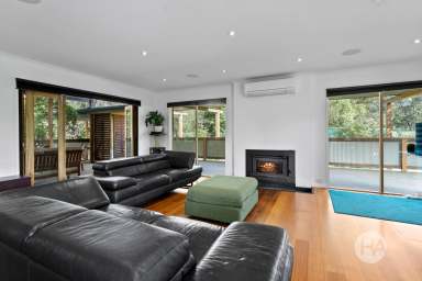 Farm For Sale - VIC - Cranbourne South - 3977 - The Perfect Package For Country Life  (Image 2)