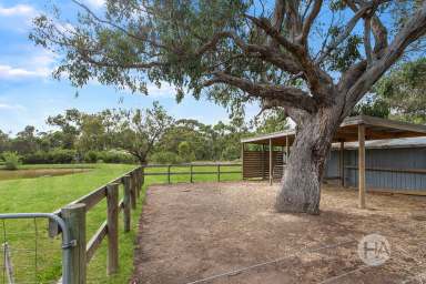 Farm For Sale - VIC - Cranbourne South - 3977 - The Perfect Package For Country Life  (Image 2)