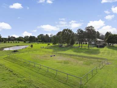 Farm For Sale - NSW - Woodville - 2321 - Enviable Rural Living in a Dress Circle Location  (Image 2)