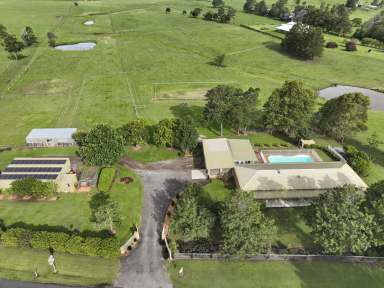 Farm Auction - NSW - Woodville - 2321 - Enviable Rural Living in a Dress Circle Location  (Image 2)