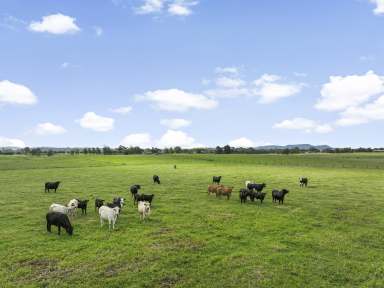 Farm Auction - NSW - Woodville - 2321 - Enviable Rural Living in a Dress Circle Location  (Image 2)