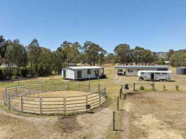 Farm For Sale - VIC - Violet Town - 3669 - 3.25 Acres On The Edge of Violet Town  (Image 2)