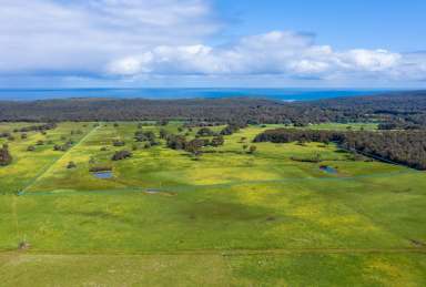 Farm For Sale - WA - Burnside - 6285 - MARGARET RIVER IS CALLING...  (Image 2)