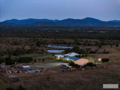 Farm Auction - QLD - Glendale  - 4711 - "Omaroo" The Meldrum Road Empire!  (Image 2)