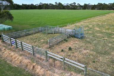 Farm For Sale - VIC - Elliminyt - 3250 - Country Lifestyle Beckons  (Image 2)