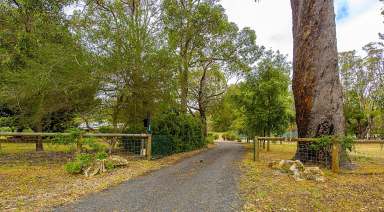 Farm For Sale - WA - Ambergate - 6280 - Escape to Your Private Oasis – 5.04 Acres of Tranquility Home Open 23/12/24 12.45 - 1.30pm  (Image 2)