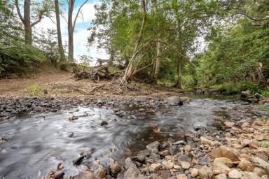 Farm Auction - NSW - Stroud - 2425 - Productive Hunter Valley Creek Flat Grazing  (Image 2)