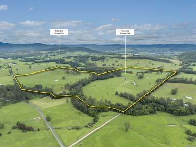 Farm Auction - NSW - Stroud - 2425 - Productive Hunter Valley Creek Flat Grazing  (Image 2)