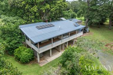 Farm Auction - QLD - Maleny - 4552 - First Time to Market for 34 Years  (Image 2)