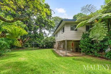 Farm Auction - QLD - Maleny - 4552 - First Time to Market for 34 Years  (Image 2)