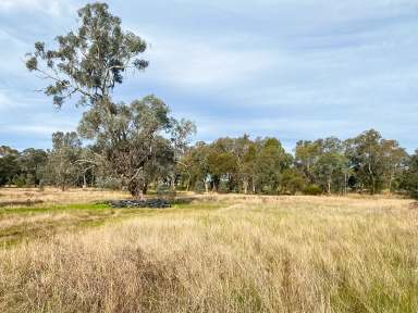 Farm For Sale - NSW - Gerogery - 2642 - Gerogery lifestyle residential rural development or landbank  (Image 2)