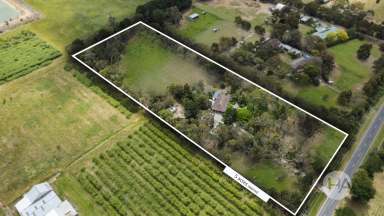 Farm For Sale - VIC - Hastings - 3915 - Home Among The Gum Trees  (Image 2)