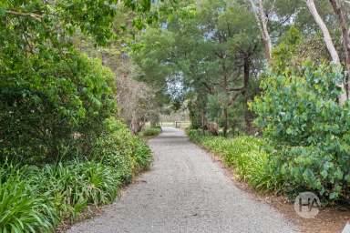 Farm For Sale - VIC - Hastings - 3915 - Home Among The Gum Trees  (Image 2)