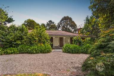 Farm For Sale - VIC - Hastings - 3915 - Home Among The Gum Trees  (Image 2)