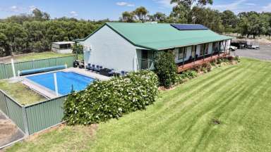 Farm For Sale - NSW - Moree - 2400 - West is Best  (Image 2)