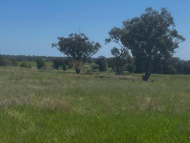 48 Furners Lane, Trewilga NSW 2869