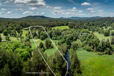 Farm For Sale - NSW - Bellingen - 2454 - Stunning Mountain views, acreage with river frontage and close to the vibrant township of Bellingen  (Image 2)