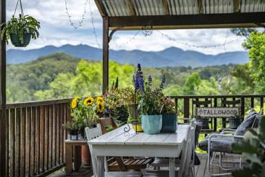 Farm For Sale - NSW - Bellingen - 2454 - Stunning Mountain views, acreage with river frontage and close to the vibrant township of Bellingen  (Image 2)