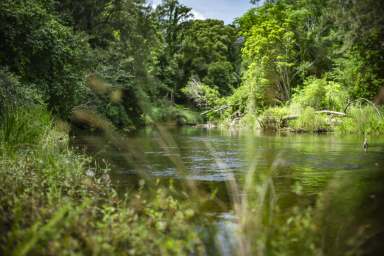 Farm For Sale - NSW - Bellingen - 2454 - Stunning Mountain views, acreage with river frontage and close to the vibrant township of Bellingen  (Image 2)