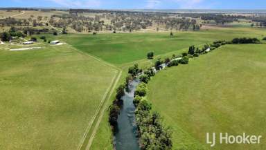 Farm For Sale - NSW - Inverell - 2360 - 'Westman' - Signature New England Property  (Image 2)