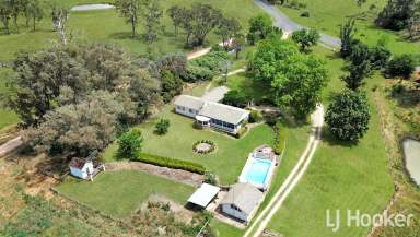 Farm For Sale - NSW - Inverell - 2360 - 'Westman' - Signature New England Property  (Image 2)