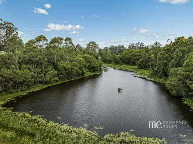 Farm For Sale - QLD - Ocean View - 4521 - Charming 2-Bedroom Home with Exceptional Shed & Expansive Land  (Image 2)