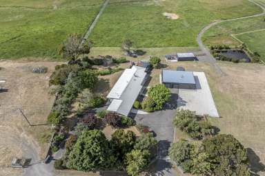 Farm For Sale - TAS - Bridport - 7262 - Barnbougle views with stylish coastal living on 10 Acres  (Image 2)