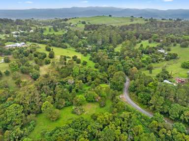 Farm For Sale - QLD - Ocean View - 4521 - 5 Acres with Original Dairy Shed  (Image 2)