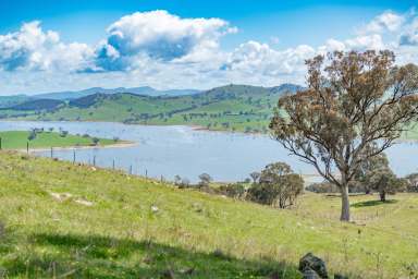 Farm Sold - VIC - Talgarno - 3691 - COUNTRY LIFESTYLE WITH LAKE VIEWS  (Image 2)