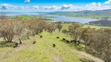 Farm Sold - VIC - Talgarno - 3691 - COUNTRY LIFESTYLE WITH LAKE VIEWS  (Image 2)