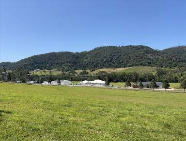 Farm For Sale - QLD - Wongawallan - 4210 - Lot No. 115        4 Acre Dreamland at Clearwater Court Wongawallan  (Image 2)