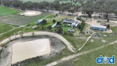 Farm For Sale - VIC - Paradise - 3477 - "GREENS"  (Image 2)