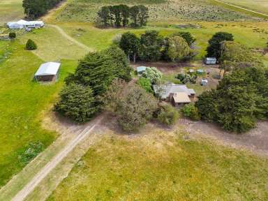 Farm For Sale - VIC - Macarthur - 3286 - A lifestyle choice  (Image 2)