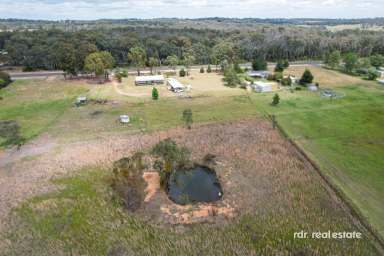 Farm For Sale - NSW - Inverell - 2360 - COUNTRY LIVING BECKONS!  (Image 2)