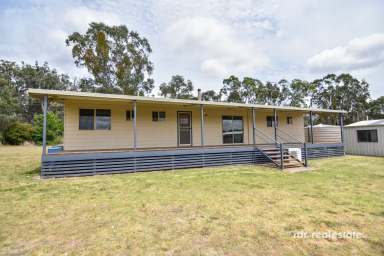 Farm For Sale - NSW - Inverell - 2360 - COUNTRY LIVING BECKONS!  (Image 2)