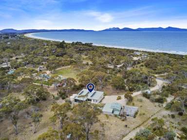 Farm For Sale - TAS - Dolphin Sands - 7190 - Blissful Coastal Acreage Retreat with Multiple Options  (Image 2)