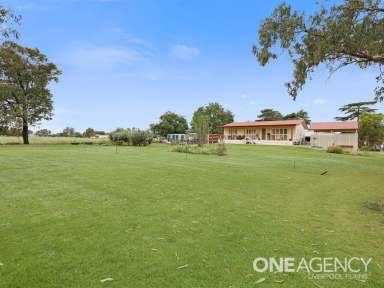 Farm For Sale - NSW - Quirindi - 2343 - Acres in town  (Image 2)