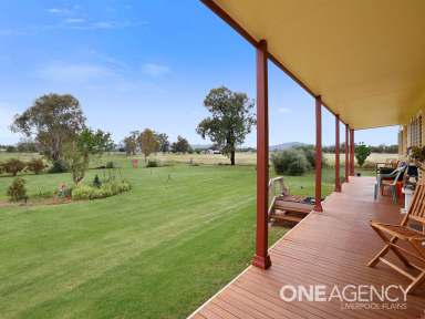 Farm For Sale - NSW - Quirindi - 2343 - Acres in town  (Image 2)