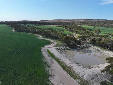 Farm For Sale - WA - Hyden - 6359 - King View & Kamdarley  (Image 2)