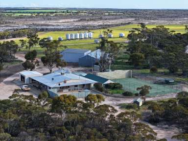 Farm For Sale - WA - Hyden - 6359 - King View & Kamdarley  (Image 2)