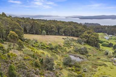 Farm For Sale - TAS - Birchs Bay - 7162 - Breathtaking views to build your dream retreat  (Image 2)