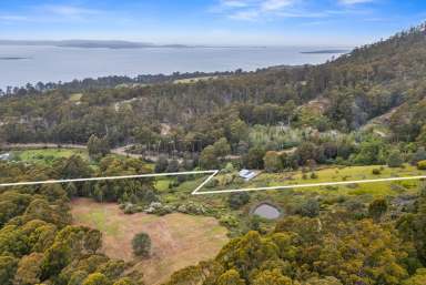 Farm For Sale - TAS - Birchs Bay - 7162 - Breathtaking views to build your dream retreat  (Image 2)