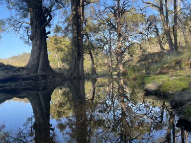 Farm Sold - NSW - Mudgee - 2850 - FANTASTIC RETREAT WITH EASY ACCESS  (Image 2)