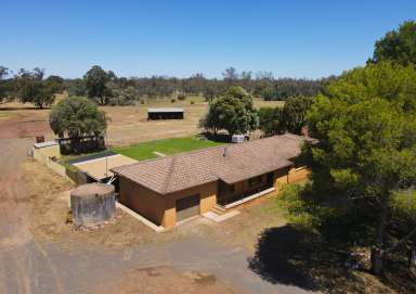 Farm Auction - NSW - Forbes - 2871 - Ray White Forbes - 02 6851 1411  (Image 2)