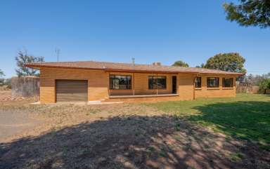 Farm Auction - NSW - Forbes - 2871 - Ray White Forbes - 02 6851 1411  (Image 2)