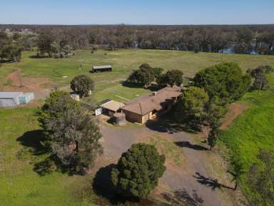 Farm Auction - NSW - Forbes - 2871 - Ray White Forbes - 02 6851 1411  (Image 2)