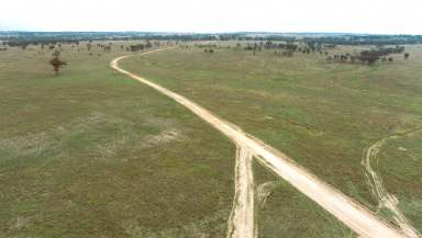 Farm For Sale - QLD - Injune - 4454 - 3 Titles - Bitumen Access - 6 km to Injune  (Image 2)