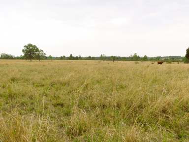 Farm For Sale - QLD - Injune - 4454 - 3 Titles - Bitumen Access - 6 km to Injune  (Image 2)