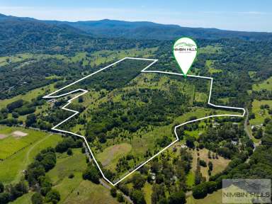 Farm For Sale - NSW - Nimbin - 2480 - 72ha Fenced Acreage with Spring Fed Dam & Building Entitlement  (Image 2)