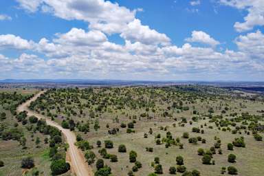 Farm For Sale - QLD - Harrami - 4630 - Harrami Bullock & Backgrounding Country  (Image 2)